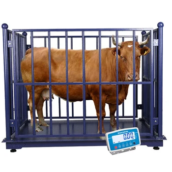 Оптовые Напольные весы для взвешивания крупного рогатого скота, Весы для животноводства для фермы