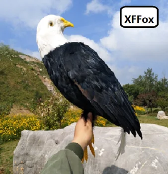большая модель птицы-орла в реальной жизни, имитирующая пену и перо, подарок черной птицы размером около 50x30 см xf0820